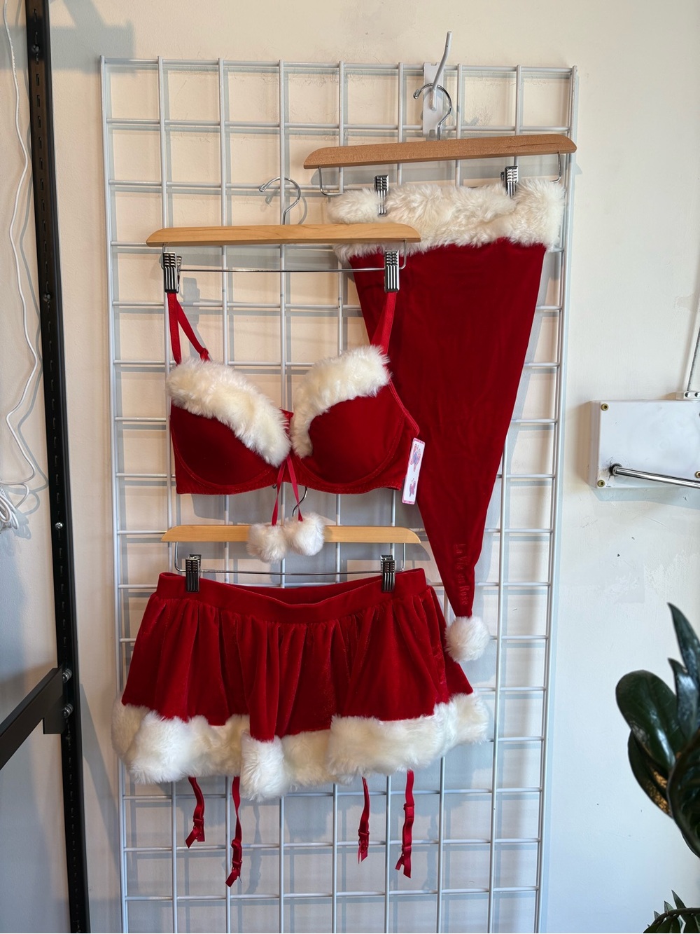 La Vie En Rose Red Velvet Holiday Bra & Skirt Set with White Faux Fur